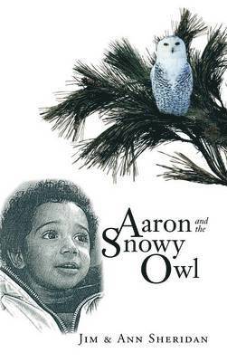 Aaron And The Snowy Owl 1