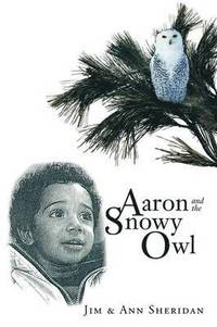 bokomslag Aaron And The Snowy Owl