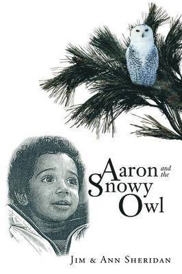 Aaron And The Snowy Owl 1