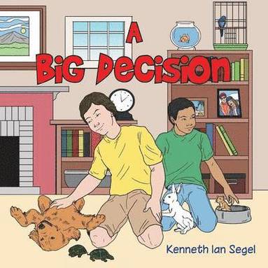 bokomslag Big Decision