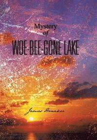 bokomslag Mystery of Woe-Bee-Gone Lake