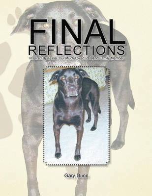 bokomslag Final Reflections