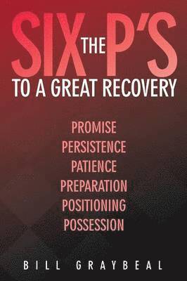 bokomslag The Six P's to a Great Recovery