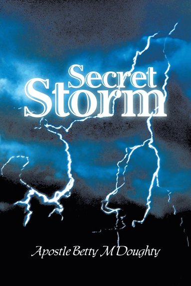 bokomslag Secret Storm