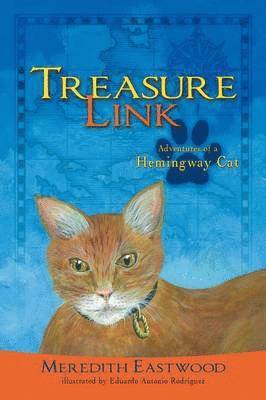 bokomslag Treasure Link