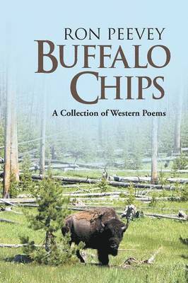 Buffalo Chips 1