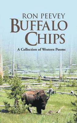 Buffalo Chips 1