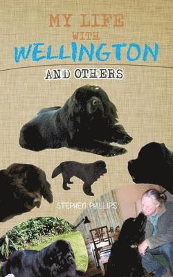 My Life with Wellington