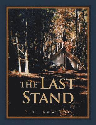 bokomslag Last Stand