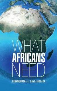bokomslag What Africans Need