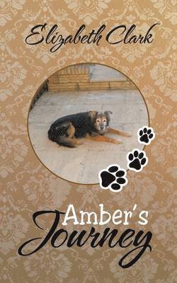 Amber's Journey 1
