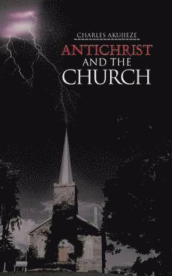 bokomslag Antichrist and the Church