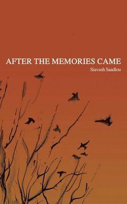 Siavash Saadlou - After the Memories Came, Häftad