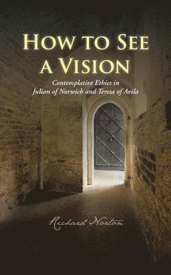 Richard Norton - How to See a Vision, Häftad