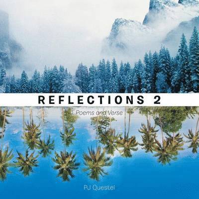 Peter Questel - Reflections 2, Häftad. Tillgänglighet: Lägg i varukorg