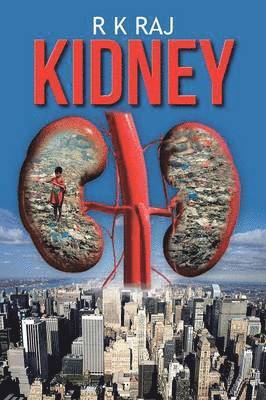 Kidney 1