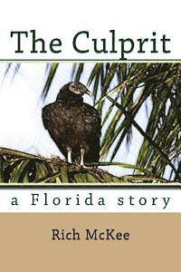 bokomslag The Culprit: a Florida story