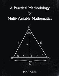 bokomslag A Practical Methodology for Multi-Variable Mathematics