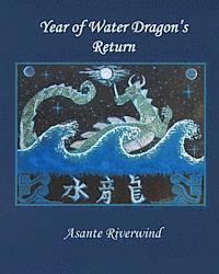 bokomslag Year of Water Dragon's Return