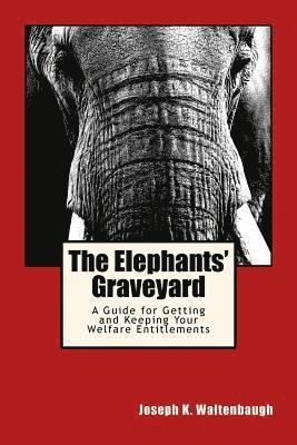 The Elephants' Graveyard: A Guide for Getting and Keeping Your Welfare Entitlements 1