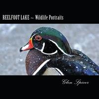 bokomslag Reelfoot Lake Wildlife Portraits
