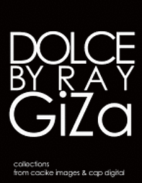 bokomslag Dolce by Ray GiZa