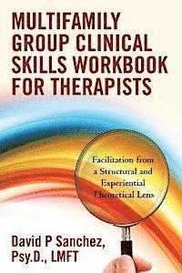 bokomslag Multifamily Group Clinical Skills Workbook for Therapists: Facilitation from a Structural and Experiential Theoretical Lens