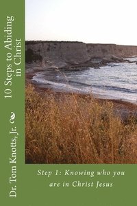 bokomslag 10 Steps to Abiding in Christ: A Course for Christian Discipleship