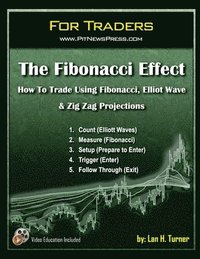 bokomslag The Fibonacci Effect