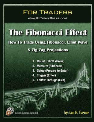 bokomslag The Fibonacci Effect