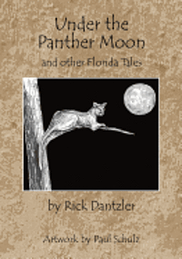 bokomslag Under the Panther Moon: and other Florida Tales