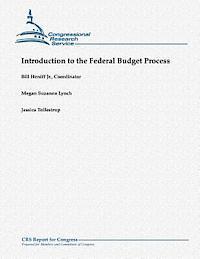 bokomslag Introduction to the Federal Budget Process