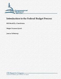 bokomslag Introduction to the Federal Budget Process