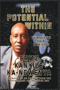 bokomslag The Potential Within: Pursuing Our African Dreams