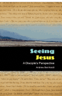 bokomslag Seeing Jesus: A Disciple's Perspective