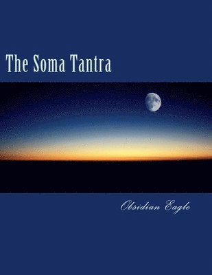 bokomslag The Soma Tantra: A Cosmic Tragedy