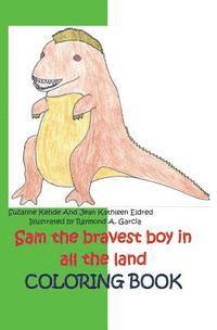 bokomslag Sam the bravest boy in all the land