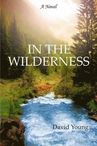 bokomslag In the Wilderness