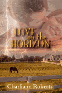 bokomslag Love on the Horizon