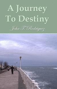 bokomslag A Journey To Destiny: A Book Of Poems