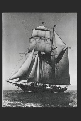 W. Matthew Hart - A Pacific Princess, Häftad