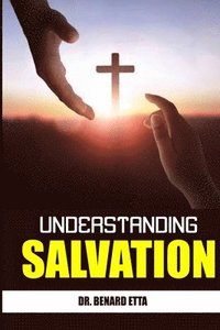 bokomslag Understanding Salvation