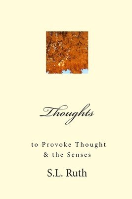 bokomslag Thoughts to Provoke Thought and the Senses: poetry