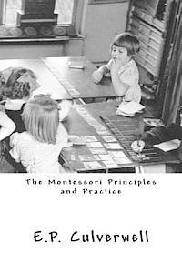 bokomslag The Montessori Principles and Practice