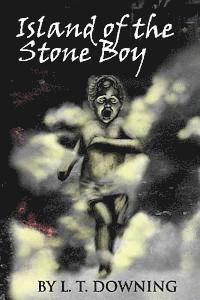 bokomslag Island of the Stone Boy
