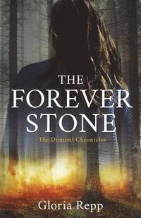 bokomslag Forever Stone