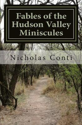 Nicholas Edmund Conti - Fables of the Hudson Valley Miniscules: The Gnomes, Wizard's Stone, Indian Caves & War, Häftad