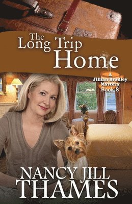 bokomslag The Long Trip Home: A Jillian Bradley Mystery