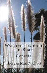 bokomslag Walking Through The Bible: Genesis
