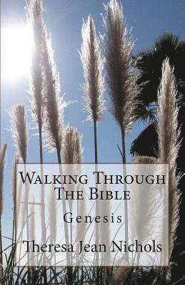 Walking Through The Bible: Genesis 1